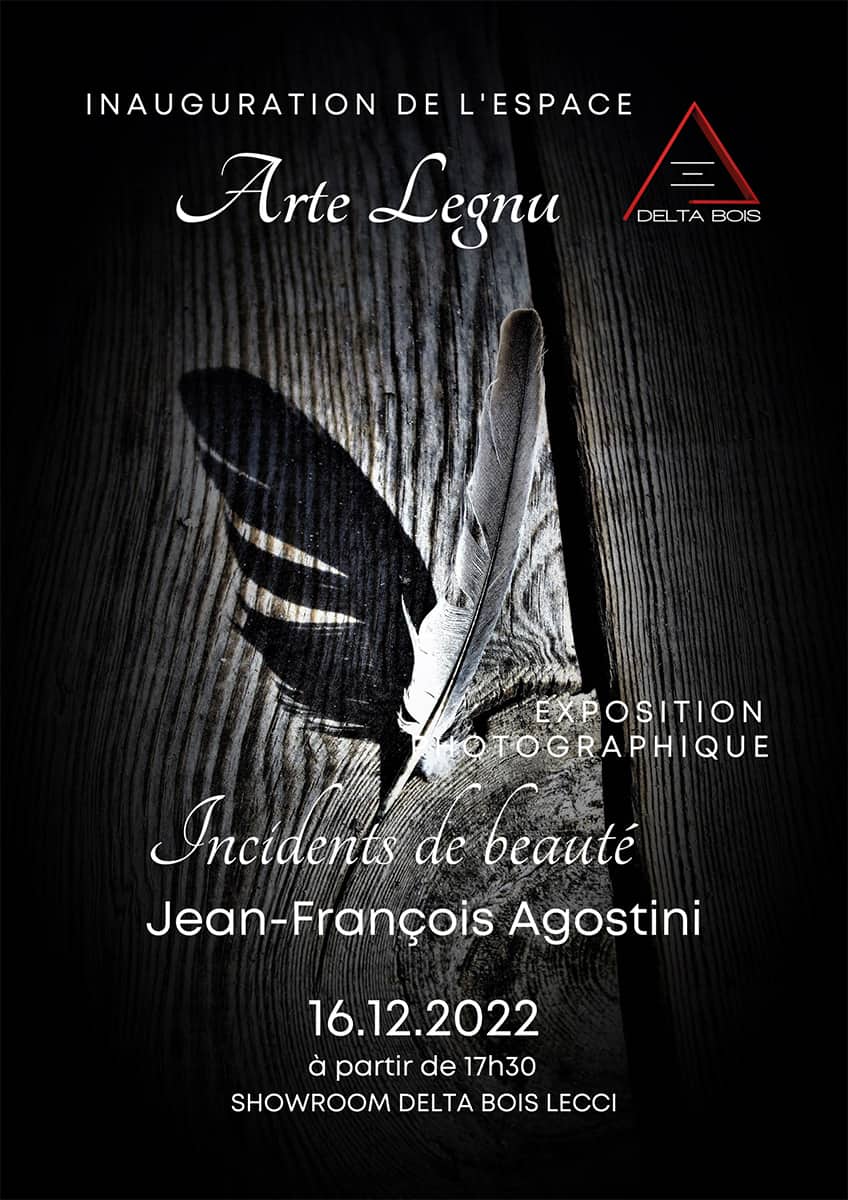 Exposition ''Incidents de beauté''